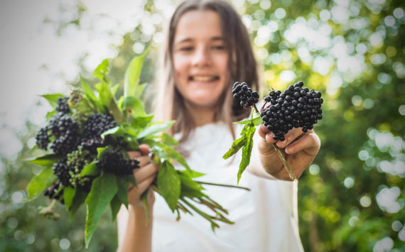 Bioaktive Pflanzenstoffe stärken die Abwehrkraft