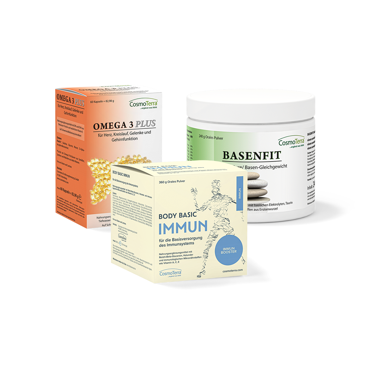 Programm_Basis_V1_Basenfit_NEU_27122024