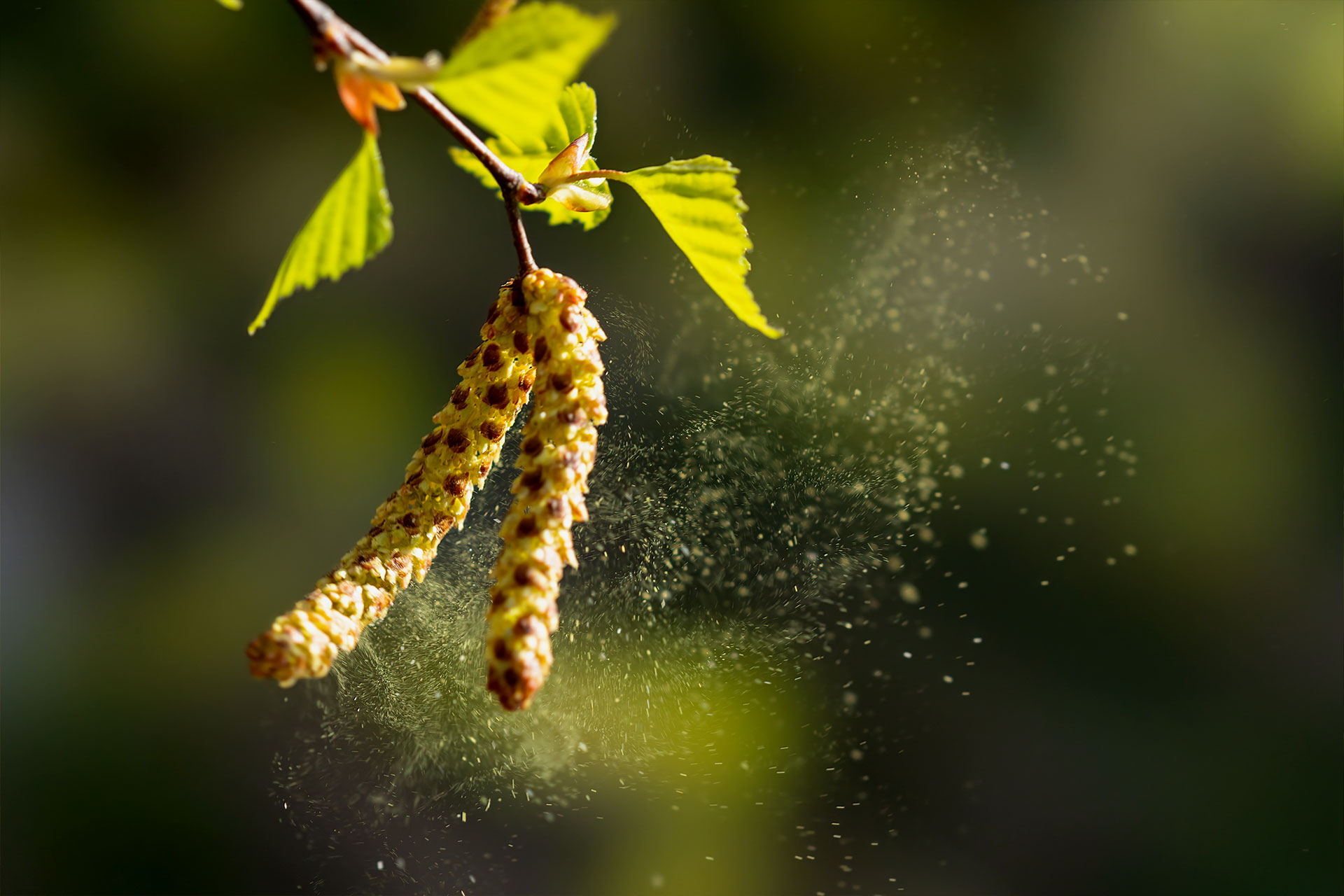 Startklar für die Allergiesaison